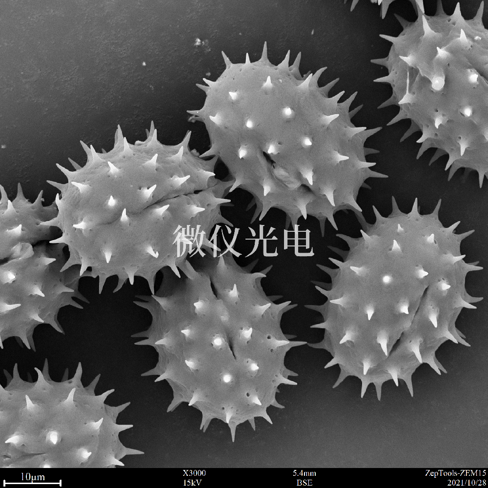 sem掃描電鏡的原理、組成、基本參數(shù)和應(yīng)用的介紹